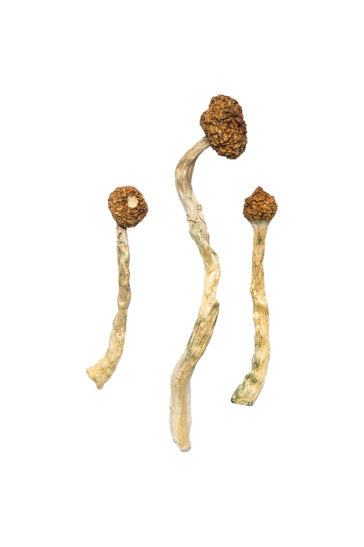 Arenal Volcano Magic Mushrooms - Image 2
