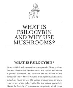 Alternative view of Your Psilocybin Mushroom Companion Book